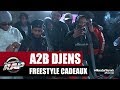 A2b djens  freestyle cadeaux planterap