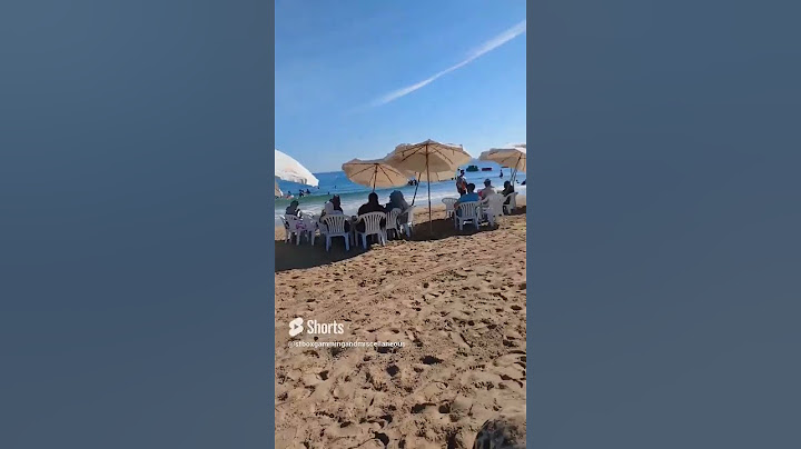 #شاطئ #المعمورة #الخاص #shortvideo #2023 #cutecat