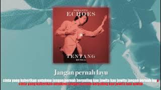Romantic Echoes - Tentang Bunga #karaoke