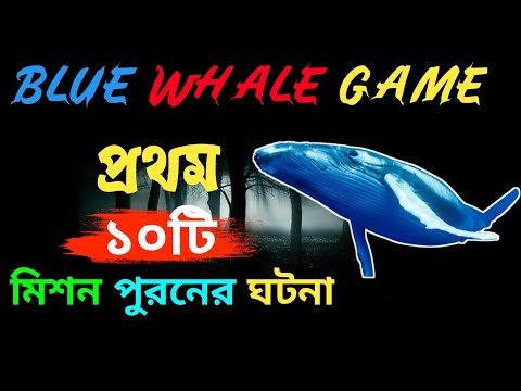 ভিডিও: মলির গেমটি কি একটি সত্য গল্পের উপর ভিত্তি করে ছিল?