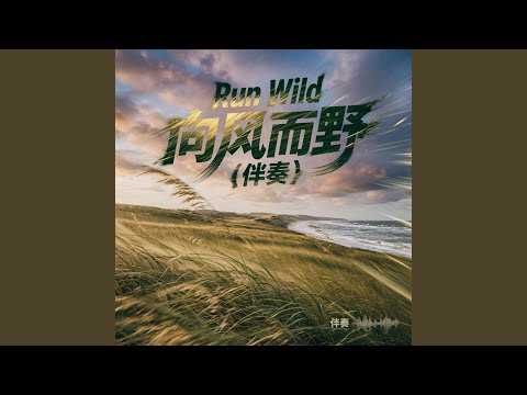 Run Wild（向风而野） (律动版)