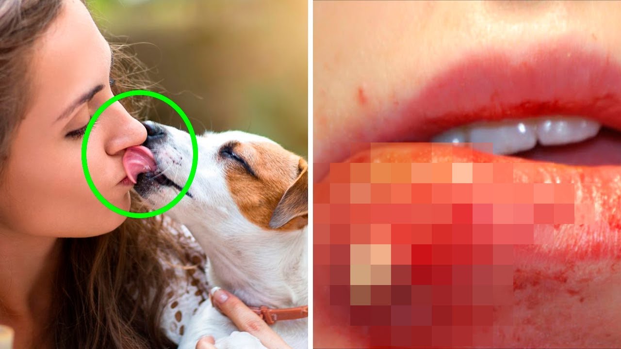 Is it okay for your dog to lick your lips