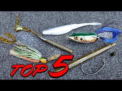 TOP 5 Baits For POND FISHING And BANK FISHING (And How To Fish