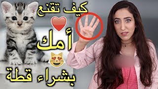 كيف تقنع أمك بشراء قطة أليفة ؟ اربع خطوت سهلة - HIND DEER