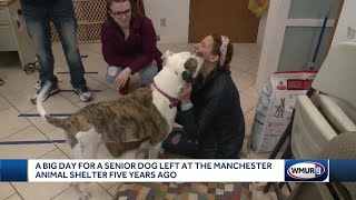 Long-term shelter dog gets forever home