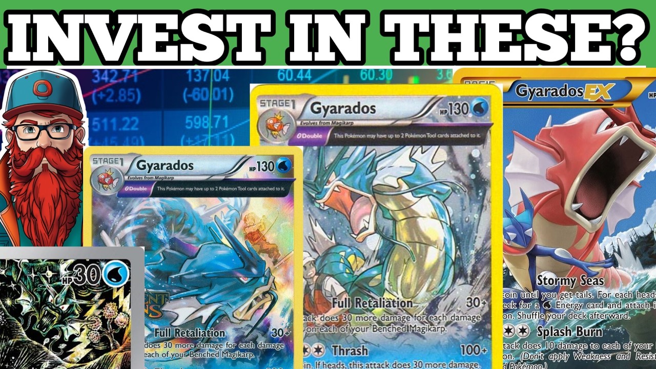 gyarados pokmon trading card game Pokemon TCG EX Premium Collection Box Stage 1 THE BEST POKEMON CARDS TO