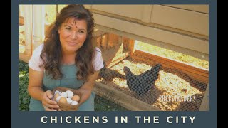 Chicken Coop in the City  Meet my Chickens and get started with your own!