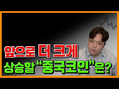   코인 중에 중국코인 하나는 꼭 있어야 합니다