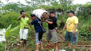 PAPATAH KAHIRUPAN SUNDA