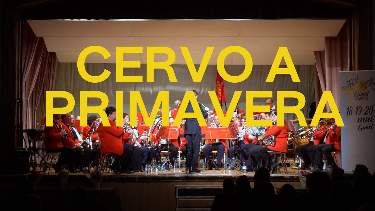 CERVO A PRIMAVERA Riccardo Cocciante (Arr. Thijs Oud) YouTube CERVO A PRIMAVERA Riccardo Cocciante (Arr. Thijs Oud) YouTube