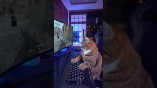 ゲーミング猫、怒りのキーボードクラッシュ! #AI映像 #猫動画 #ゲーミング猫