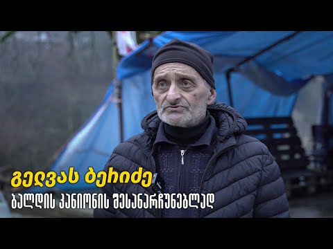 გელვას ბერიძე, ბალდის კანიონის შესანარჩუნებლად