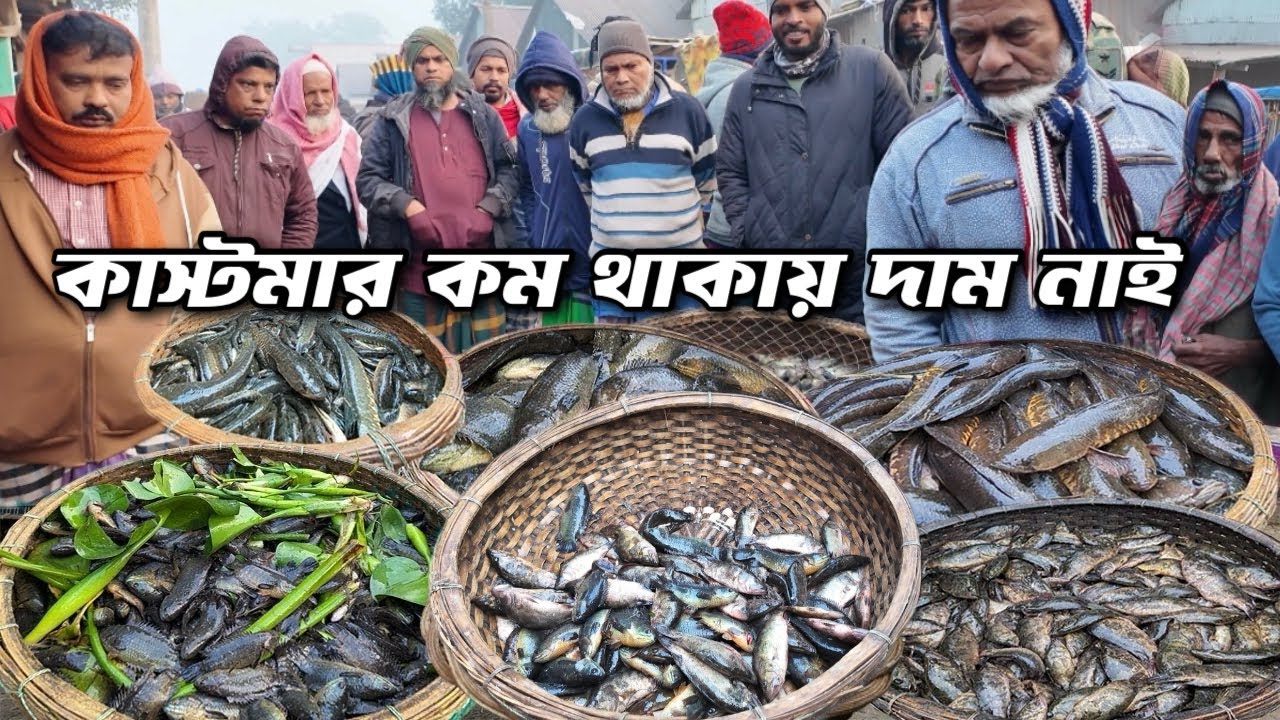 এখানে আপনি অনেক সস্তায় কিনতে পারবেন বিলের মাছ! Village fish market dohar dobli bazar | Dohar Fish