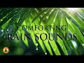 Relaxing Rain Sounds, White Noise for Studying, Stress &amp; Anxiety Relief, Calming Nature Sounds ☯3230
