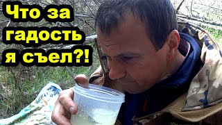 Весенние покатушки на мопеде Дельта. Эндурим по холмам