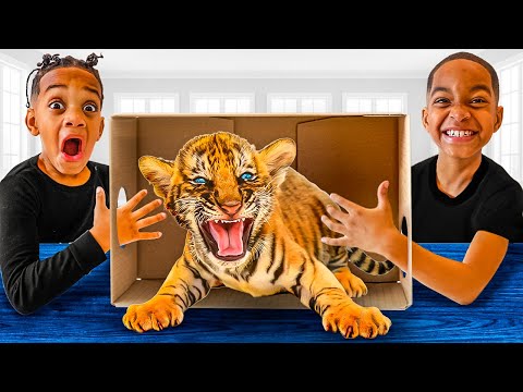 WHAT'S IN THE BOX CHALLENGE, What Happens Next Is Shocking | The Prince Family Clubhouse