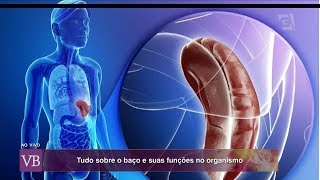 Baço: Importância e Funções - Dr. Tércio Genzini