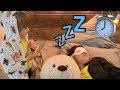 Are you sleeping  Nursery Rhyme Song for Babies Video for Children Kids Brother John