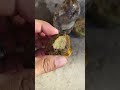 las recompensas de la caminada de ayer,g,a,d #jade #jasper #agate #preciousstones #piedraspreciosas