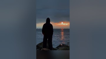 كُلُّ مَنْ عَلَيْهَا فَانٍ #ياسر_الدوسري #المنشاوي #اكسبلور #سورة_الرحمن #quran #القرآن_الكريم