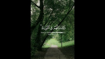 #قران_كريم #تلاوة_خاشعة #اكسبلور