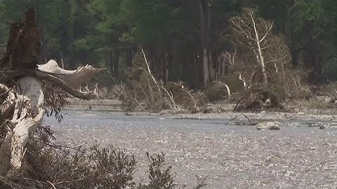 KHOU 11 team coverage: Rescue teams continue searching after deadly Central Texas floods