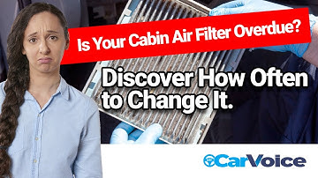 How Often to Change Your Cabin Air Filter
