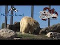 Tour Complet Marineland Antibes  2017 Complete Walkthrough