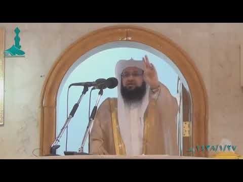 نبي الله سليمان عليه السلام وقصته مع النملة التى تحمل حبة قمح