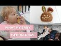 What My 10 Month Old Baby Eats In a Day