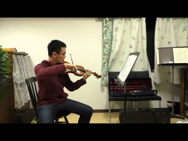 2nd Violin＞Schumann Symphony no.3 5th mov - YouTube
