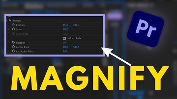 How To Magnify In Adobe Premiere pro Tutorial