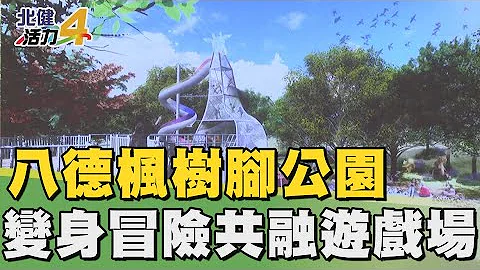改造 設計|改造八德楓樹腳公園 變身冒險遊戲場 - 天天要聞
