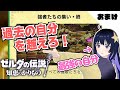 【ゼルダの伝説 知恵のかりもの】ねむり道場「強者の集い・終」TA!最強の自分で過去の自分を越えろ!partおまけ【初見プレイ】