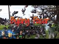 Bujang Pasar Ollbin Nojes Official Music Video
