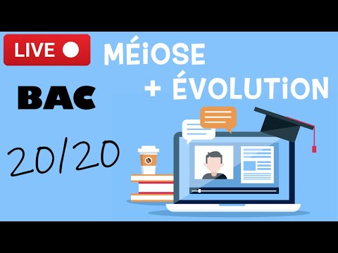 Vidéo: En quoi la méiose I et la méiose II diffèrent-elles, sélectionnez les deux réponses correctes ?