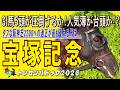 《宝塚記念》GI馬5頭が圧倒するか!それとも人気薄が台頭か!?タフな阪神芝2200への適正が最も優れる馬は...//全出走馬18頭を見て相馬眼を磨き、勝馬を探す『必須動画』【トレセンパドック2026】