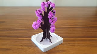 Magic Sakura Paper Tree Blossom