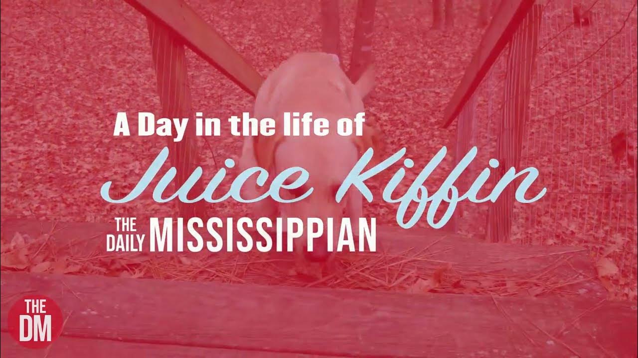 Juice Kiffin the dog, the myth, the legend YouTube