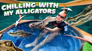 Taking a Dip with my Alligators!