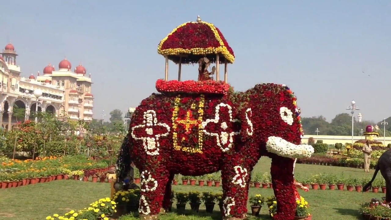 flower show at mysore palace december 2016 hd youtube
