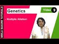 Genetics - Multiple Allelism