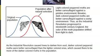 111 evolutionary forces
