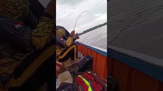 Keseruan mancing udang, umpan anak udang, dapatnya kapal selam fishing mancing