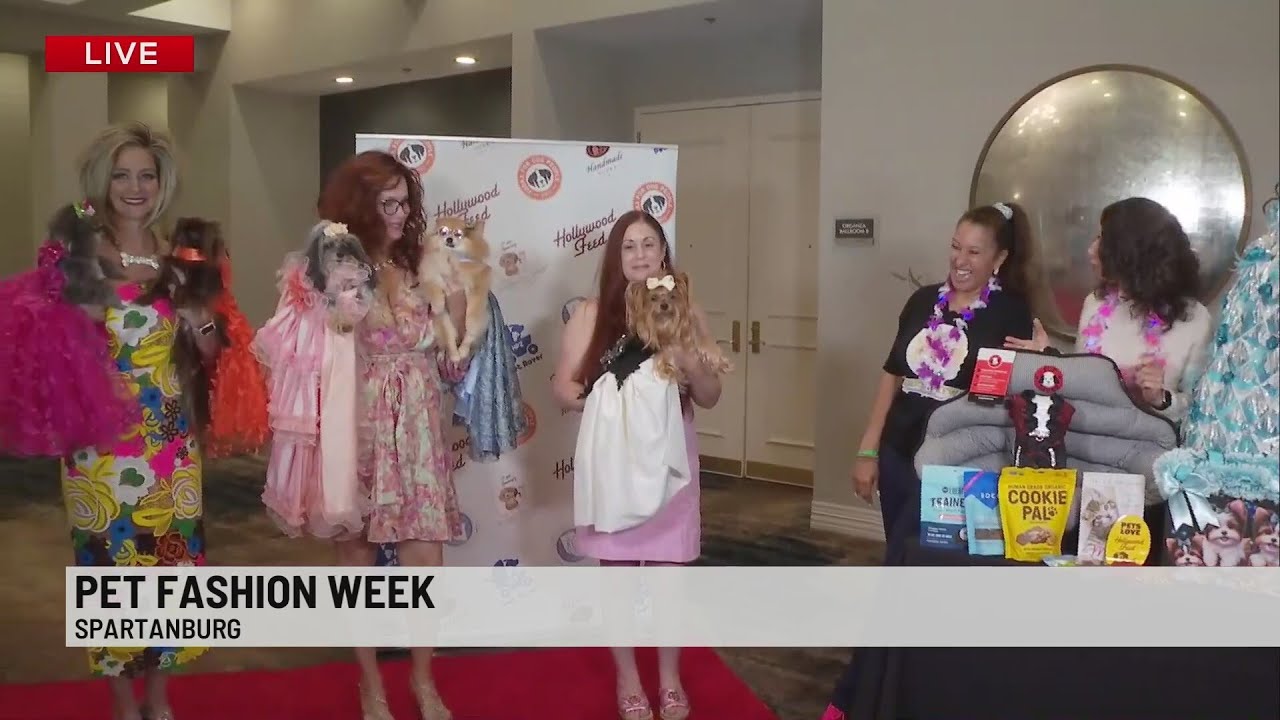 Spartanburg's First Pet Fashion Week underway at 1881 Event Hall