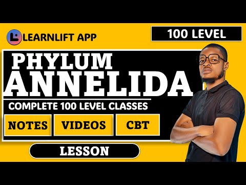 PHYLUM ANNELIDA FOR 100 LEVEL (BIOLOGY) PART 1