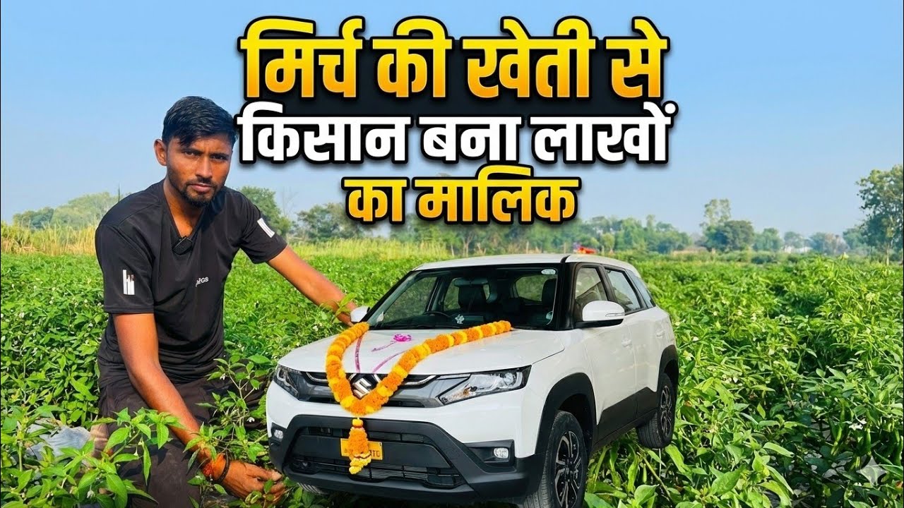 युवा किसान 12000/- की नौकरी छोड़ Mirch Ki kheti से बना लखपती | Chilli Farming | Mirch Farming 
