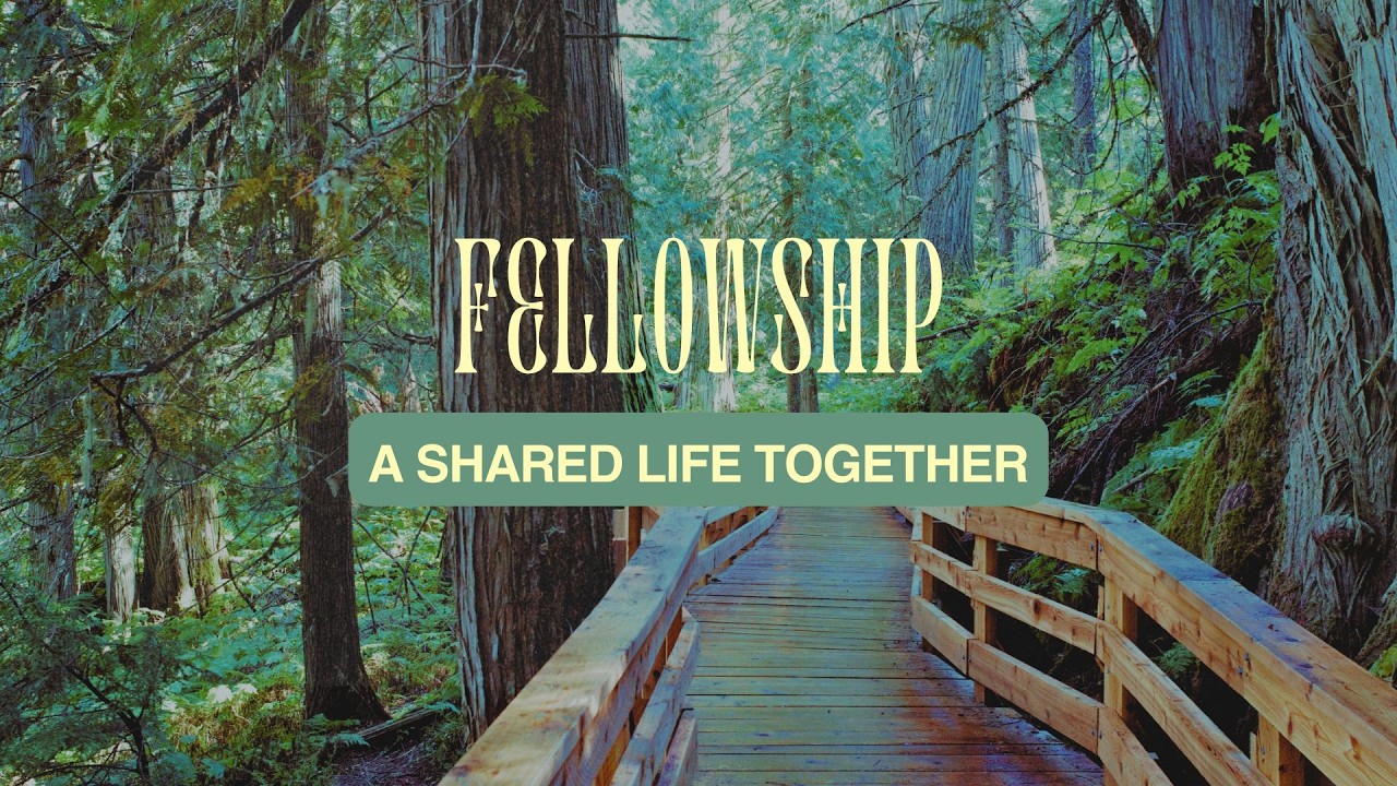 Is it actually better to think about others? | CREATED FOR COMMUNITY