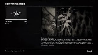 Red Dead Redemption 2 All 5 Night Scented Orchids Locations
