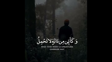 قران كريم 💙❤حالات واتس اب - تلاوة خاشعة